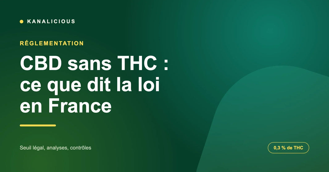 CBD sans THC : ce que dit la loi en France
