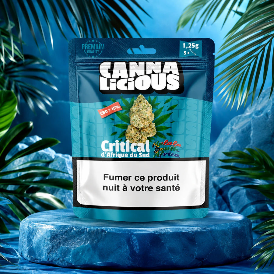 Critical d'Afrique du Sud
